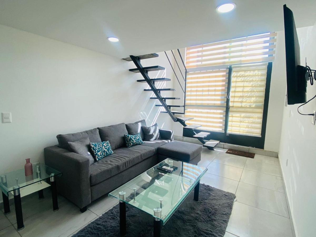 كابو سان لوكاس Hotel Morgan Residences المظهر الخارجي الصورة